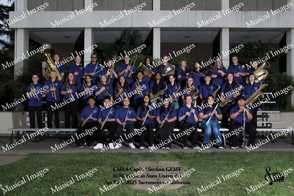 Musical Images